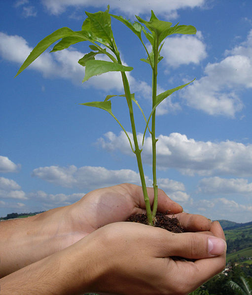 naturaleza.jpg