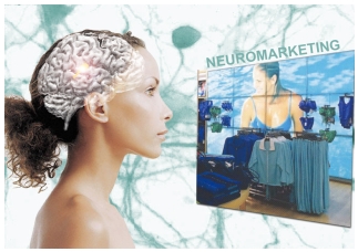 neuromarketing neuromarketing
